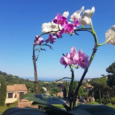 Hameau Du Soleil Apartment Cavalaire-sur-Mer Bagian luar foto